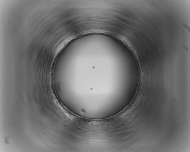 X0000099960898200806131507