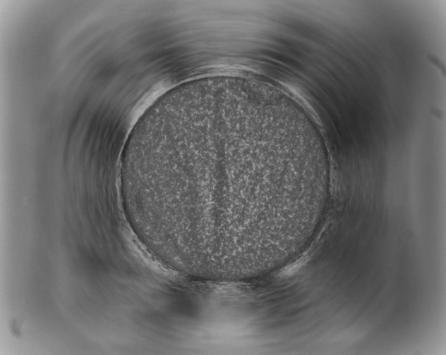 X0000099960899200806131507