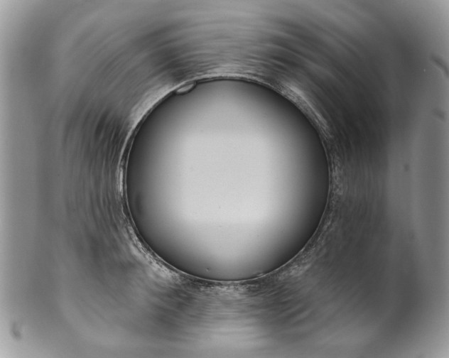 X0000099960900200806131507