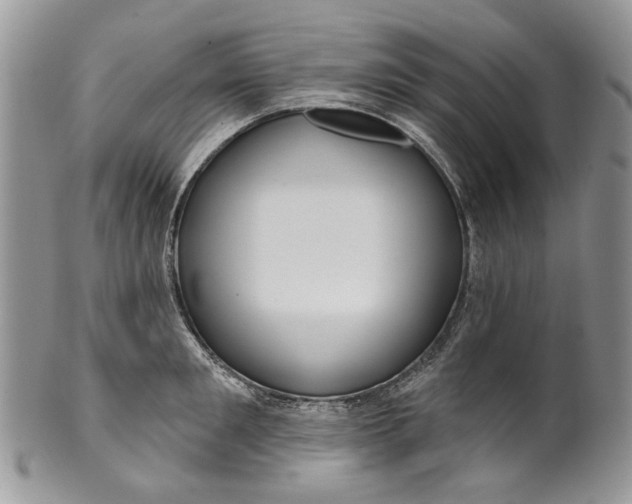 X0000099960901200806131507