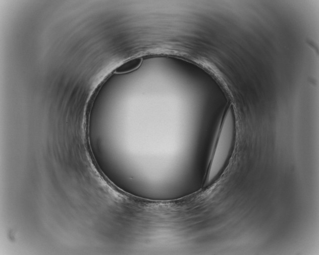 X0000099960902200806131507