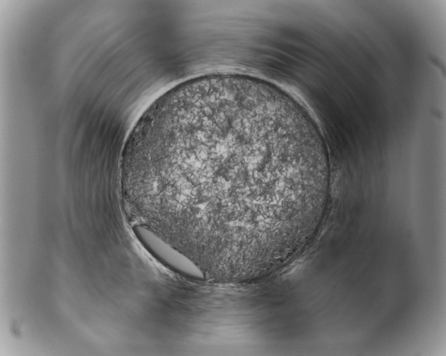 X0000099960903200806131507