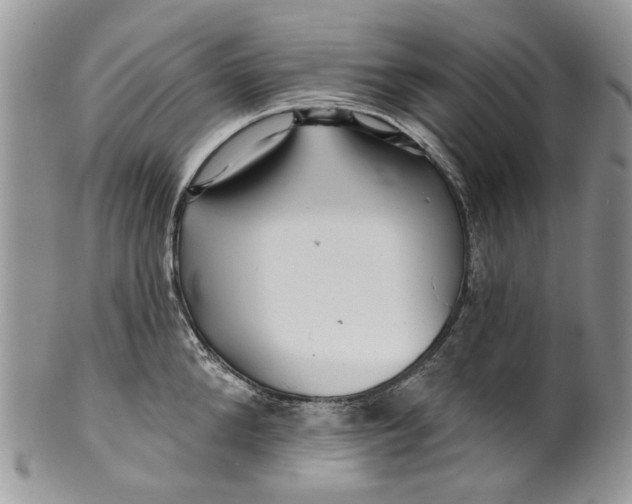 X0000099960904200806131507