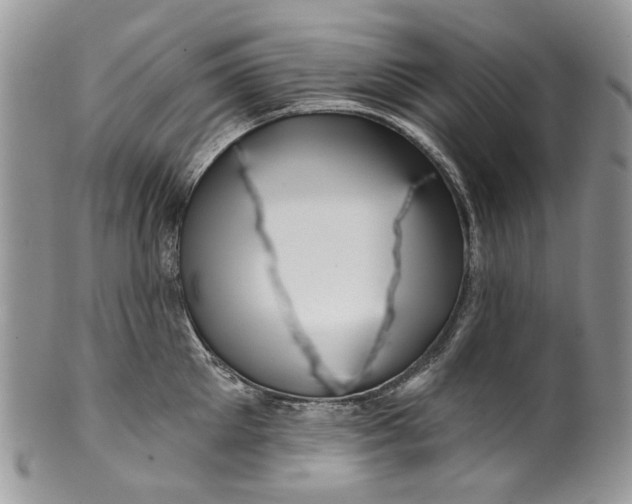 X0000099960905200806131507