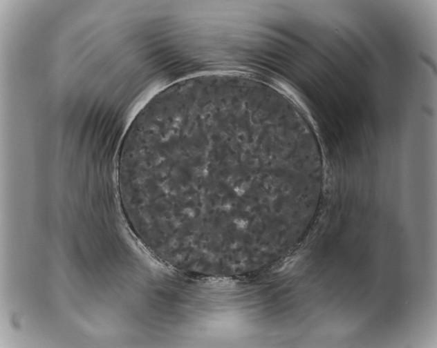 X0000099960907200806131507