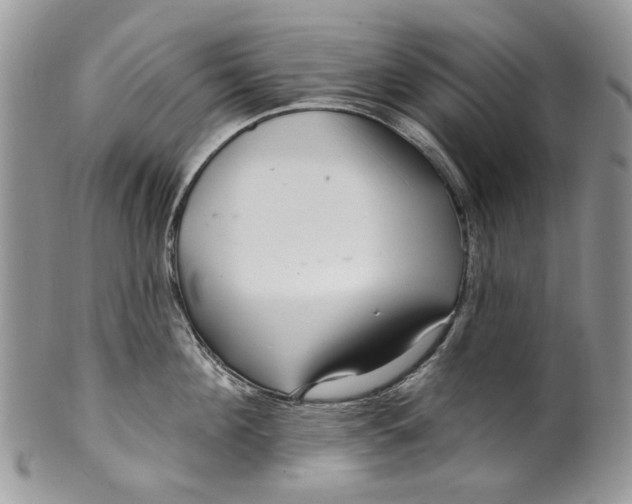 X0000099960908200806131507