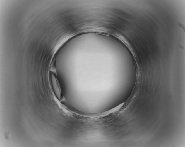 X0000099960909200806131507