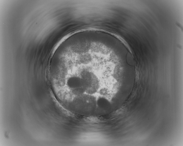 X0000099960911200806131507