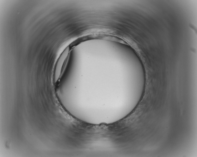 X0000099960912200806131507