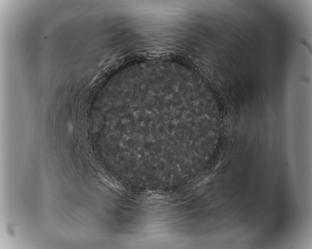 X0000099960913200806131506