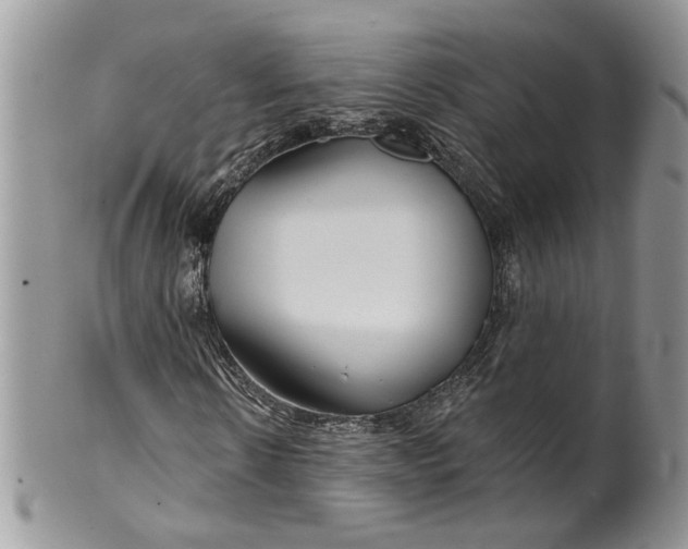 X0000099960914200806131506