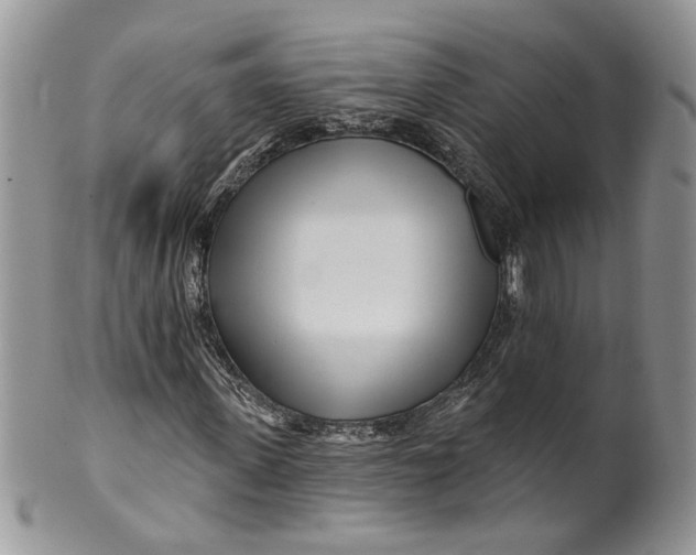 X0000099960915200806131506