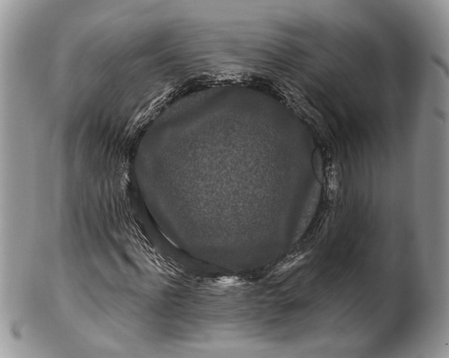 X0000099960916200806131506