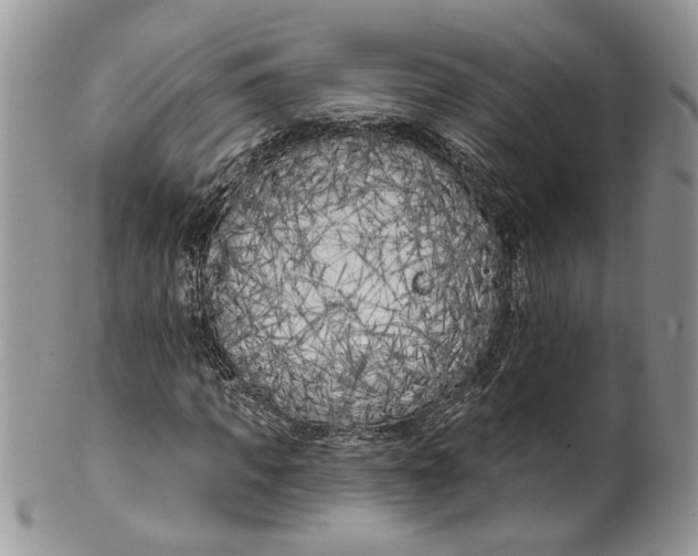 X0000099960917200806131506