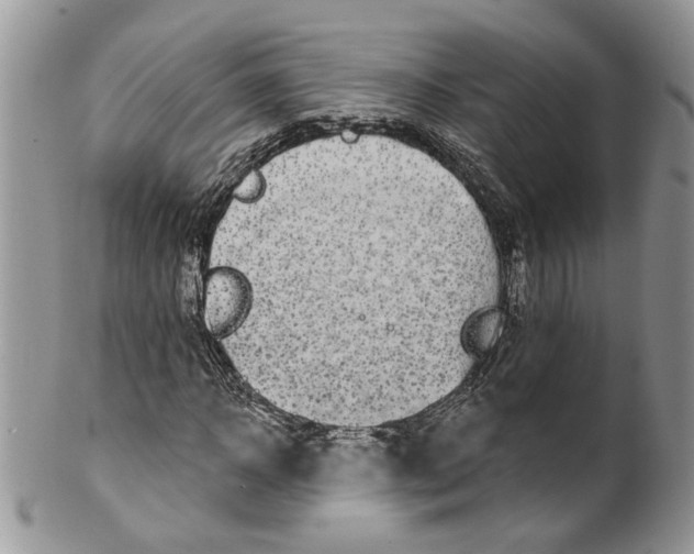 X0000099960918200806131507