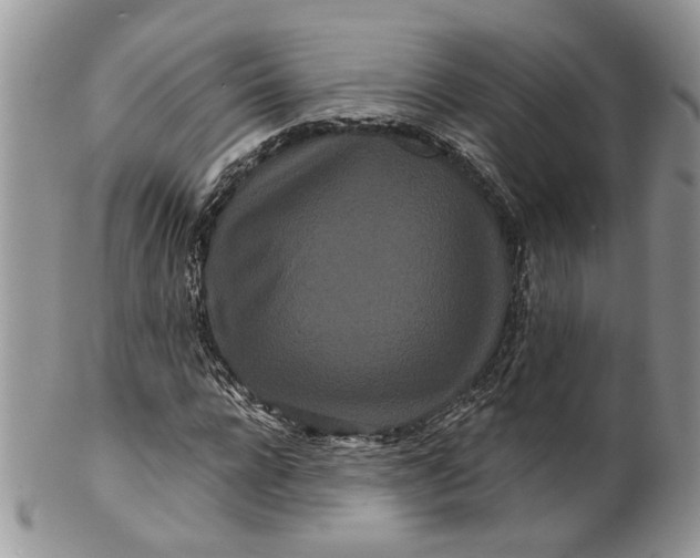 X0000099960920200806131507