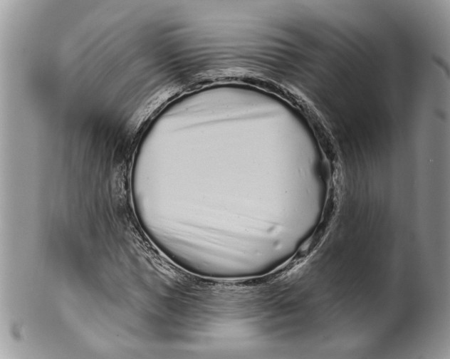 X0000099960921200806131507