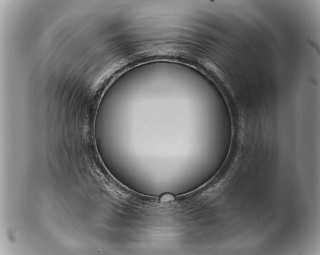 X0000099960922200806131507