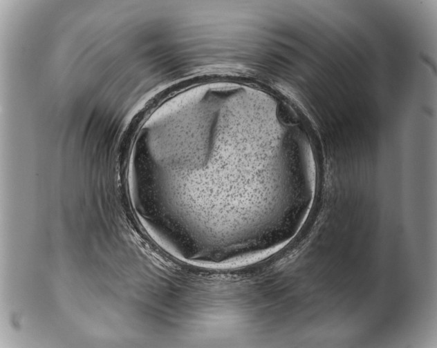 X0000099960923200806131507