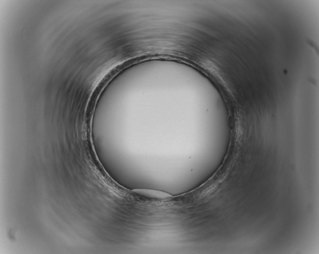 X0000099960924200806131507