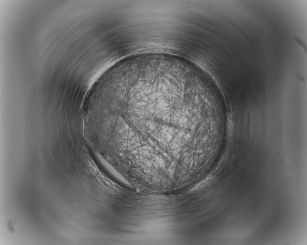 X0000099960925200806131507