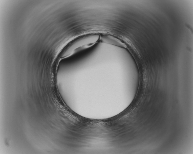 X0000099960926200806131507