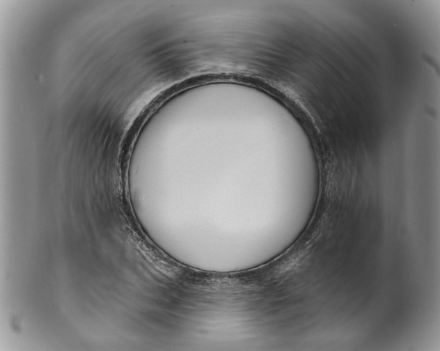 X0000099960927200806131507