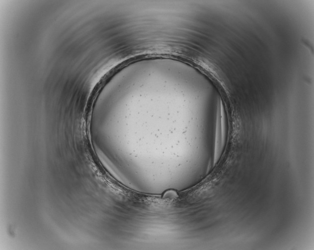 X0000099960928200806131507