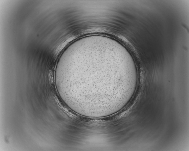 X0000099960929200806131507