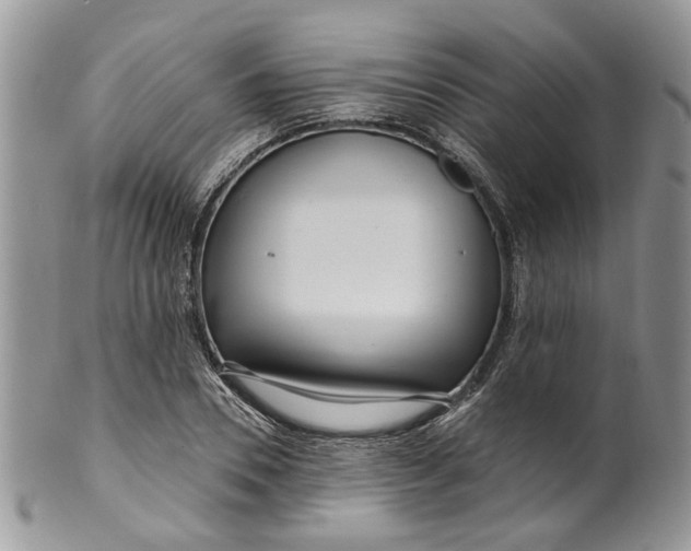 X0000099960930200806131507