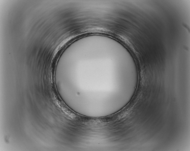 X0000099960931200806131507