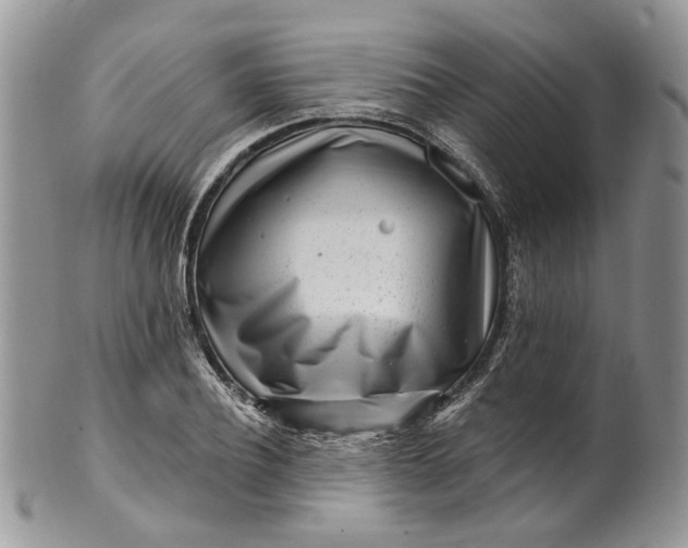 X0000099960932200806131507