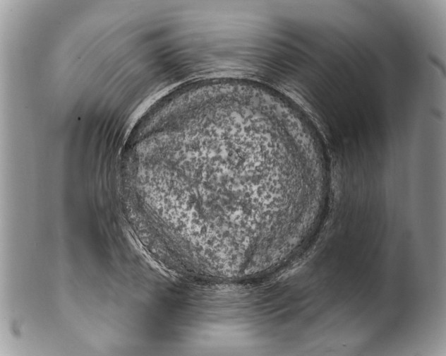 X0000099960933200806131507