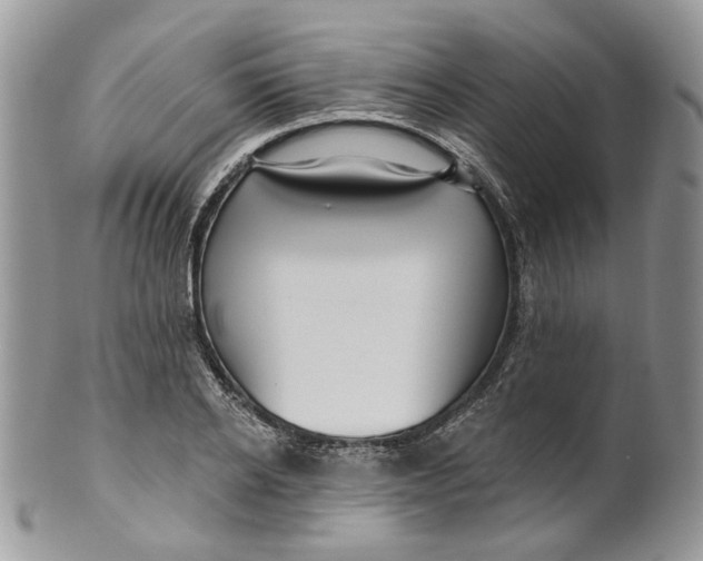 X0000099960934200806131507