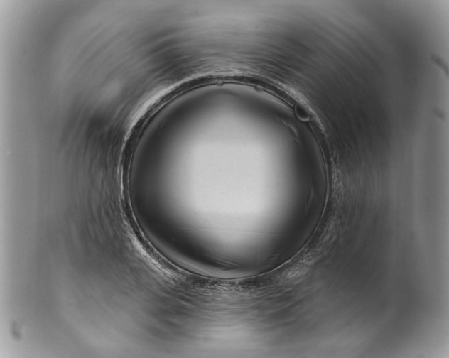 X0000099960935200806131507