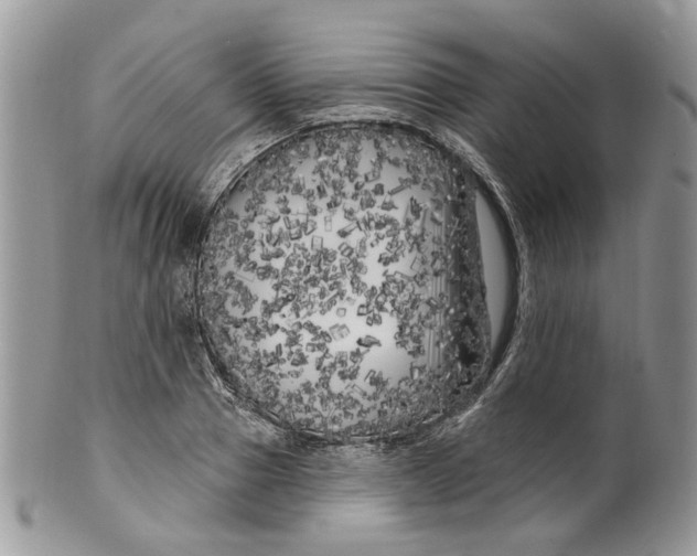 X0000099960937200806131507