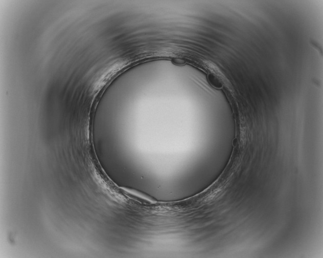 X0000099960938200806131507