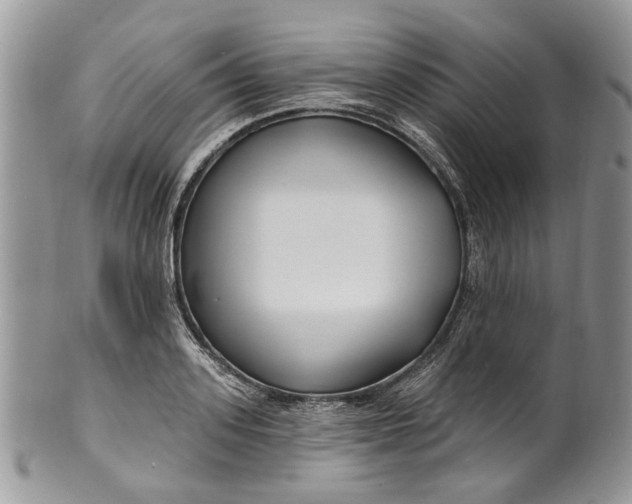 X0000099960939200806131507