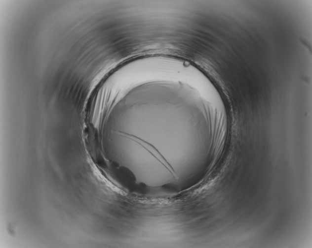 X0000099960941200806131507