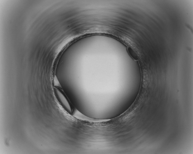 X0000099960942200806131507