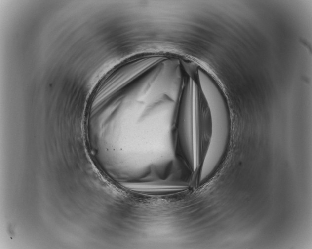 X0000099960943200806131507