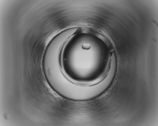 X0000099960944200806131507