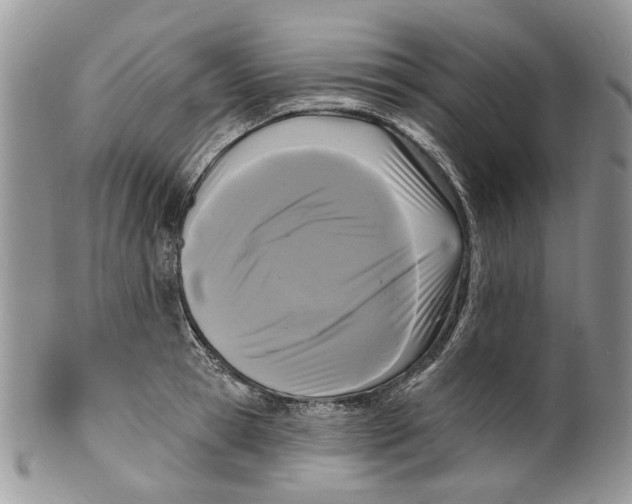 X0000099960945200806131507