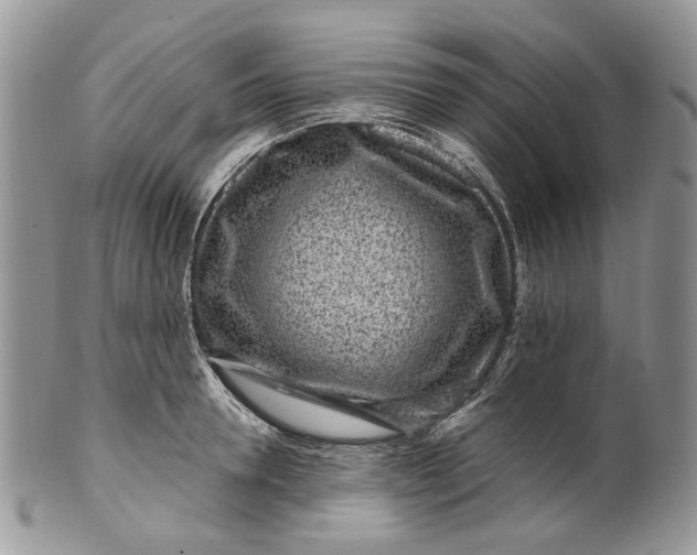 X0000099960946200806131507