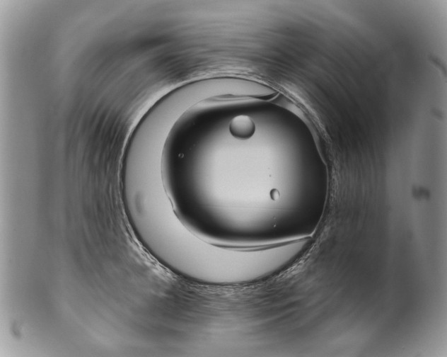 X0000099960948200806131507