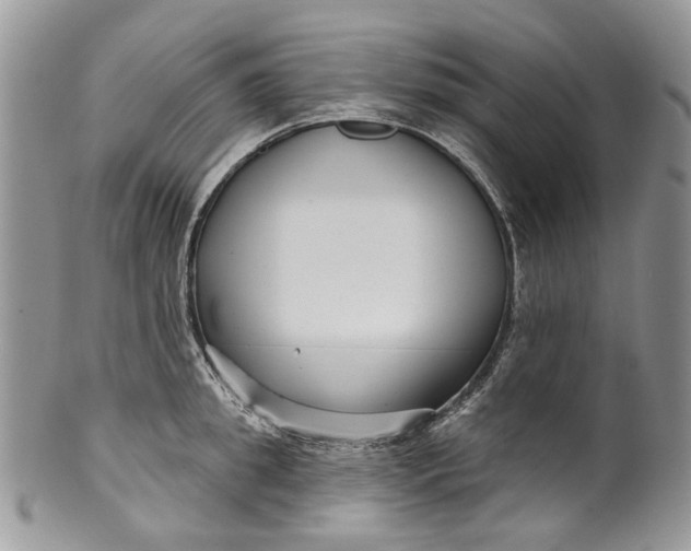 X0000099960949200806131507