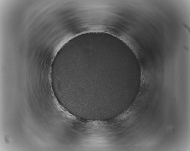 X0000099960950200806131507