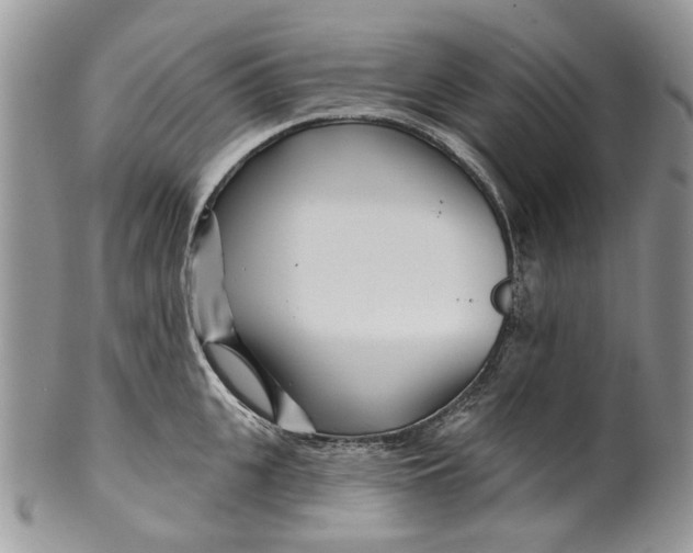 X0000099960951200806131507