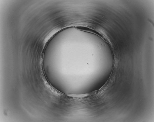 X0000099960952200806131507