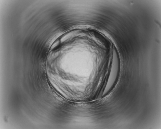 X0000099960953200806131507